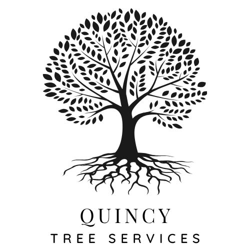 FullServe Quincy Tree Services logo